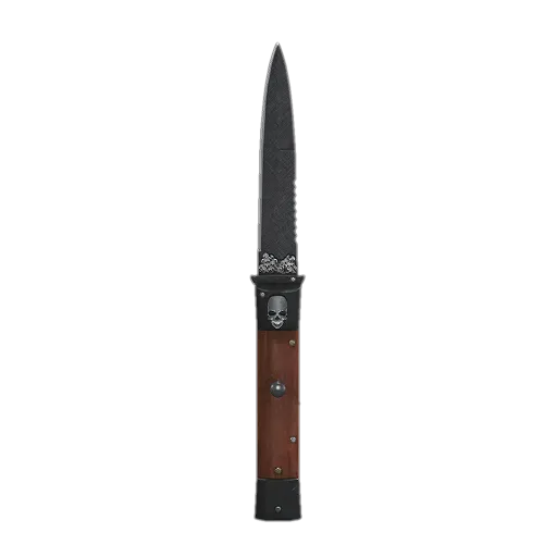 Skin Bodyguard